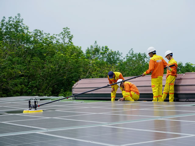 Team cleaning solar panels